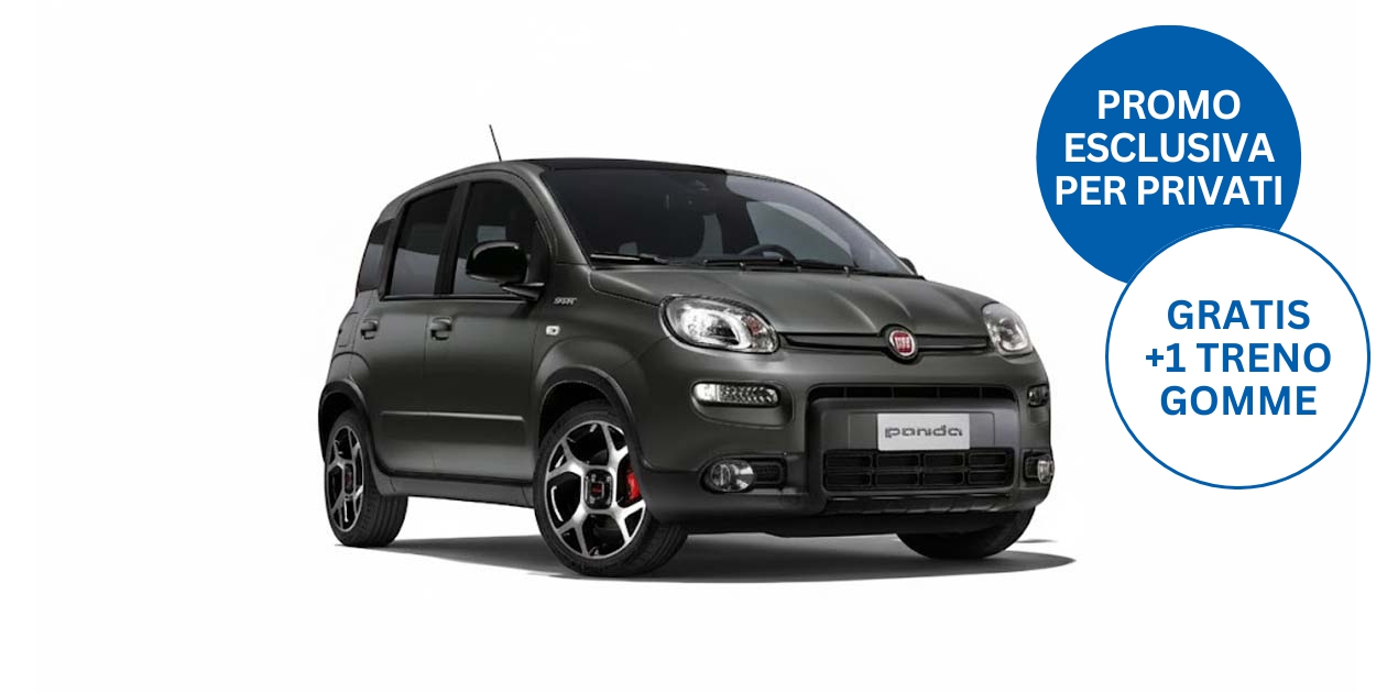FIAT PANDINA 1.0 FireFly 65cv S&S - esterno 1 di 1